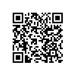 K223Z10Y5VF53L2 QRCode