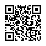 K3091251A000G QRCode