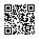 KE061351A000G QRCode