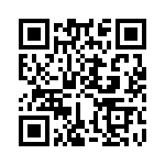 KJB0T13F98SBL QRCode