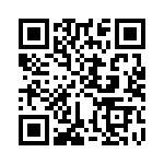 KJB0T13J98BC QRCode