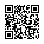 KJB0T25J29PAL QRCode