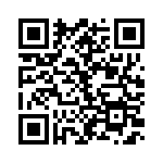 L-07C16NKV4T QRCode