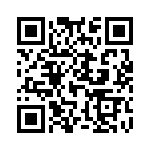 L17DM53744217 QRCode