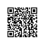 LELK1-1REC4-33838-4-V QRCode