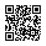 LZZ41 QRCode