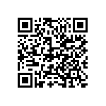 M55342E04B34B0RTP QRCode