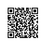 M55342H01B20K0PWS QRCode