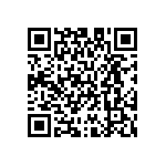 M55342H01B4E99RT5 QRCode