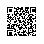 M55342H04B10B0MWS QRCode