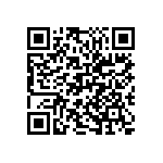 M55342H04B174BRWS QRCode