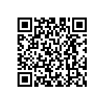 M55342H04B1B47RWS QRCode