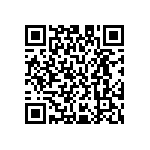 M55342H04B21E5RWS QRCode