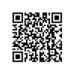 M55342H04B33B2RT5 QRCode