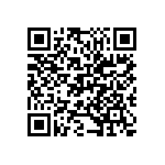 M55342H04B5E62RWS QRCode