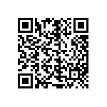 M55342K01B100DPT0V QRCode