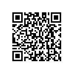 M55342K02B1B60RT5 QRCode