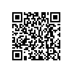 M55342K02B505ARWS QRCode