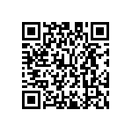 M55342K02B51B1RT3 QRCode