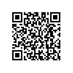 M55342K04B15B2RT5 QRCode