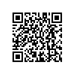 M55342K06B10K0RT5V QRCode