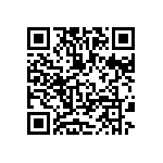 MKP385530063JPP2T0 QRCode