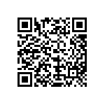 MKP385533063JPP2T0 QRCode