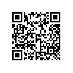 MP4-1D-1E-1E-1Q-00 QRCode