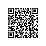 MP4-4EE-4NN-4RR-00 QRCode