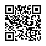 MS27466T13B98S QRCode