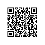 MS27467T17B99PAL QRCode