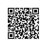 NP8P128AE3TSM60E QRCode