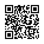 NZX3V0B-133 QRCode