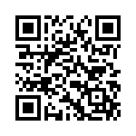 P1013NSE2EFB QRCode