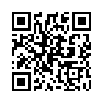 P38294Y QRCode