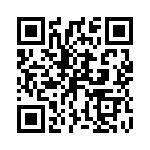 P4KE11C QRCode