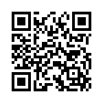 P4KE20A QRCode