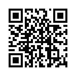 P4KE22A-G QRCode