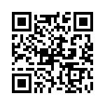 P4KE27-E3-54 QRCode