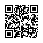 P4KE300-B QRCode