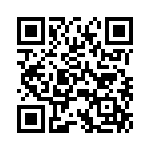 P4KE33A-B0G QRCode