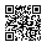 P4KE36-B QRCode