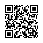 P4KE39-B QRCode