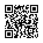 P4KE39 QRCode