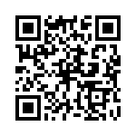 P4KE43 QRCode