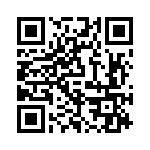 P4KE51 QRCode