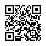 P4KE51A-B0G QRCode