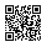 P4KE550-B QRCode