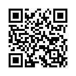 P4KE91A-B QRCode