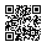 P522303 QRCode